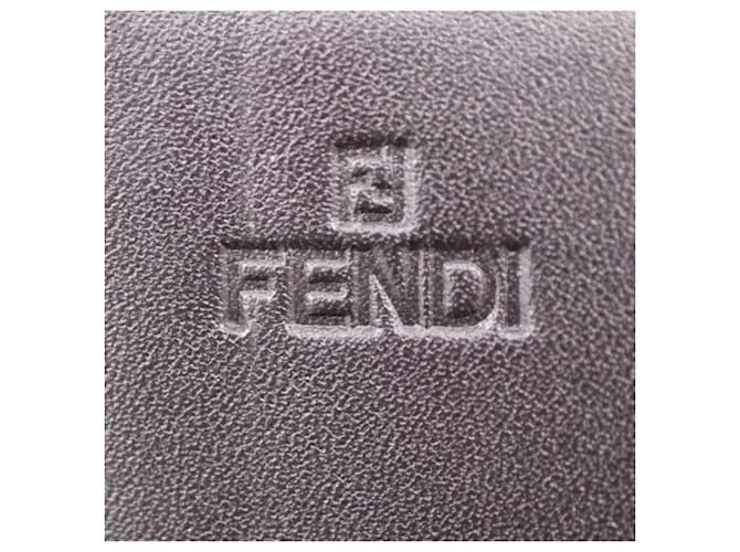 Fendi Zucca Castaño 